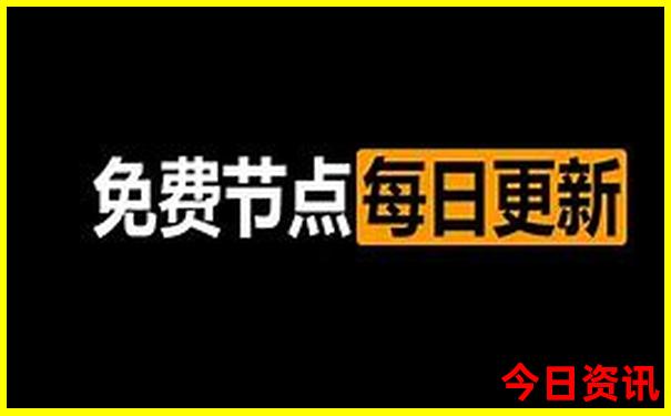 哪里可以看海鸥的旅游景点